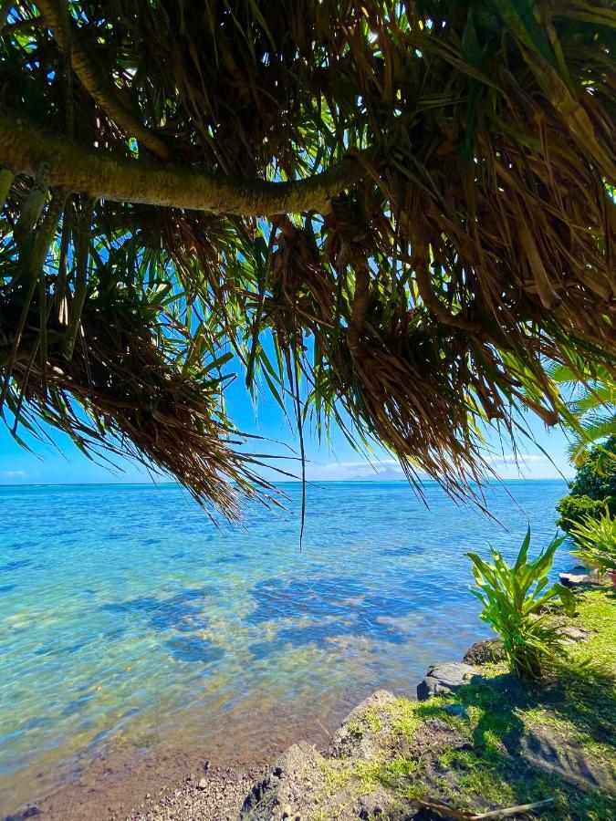 O'Coco Bungalow- Breathtaking Waterfront Views, Endless Memories Paea المظهر الخارجي الصورة