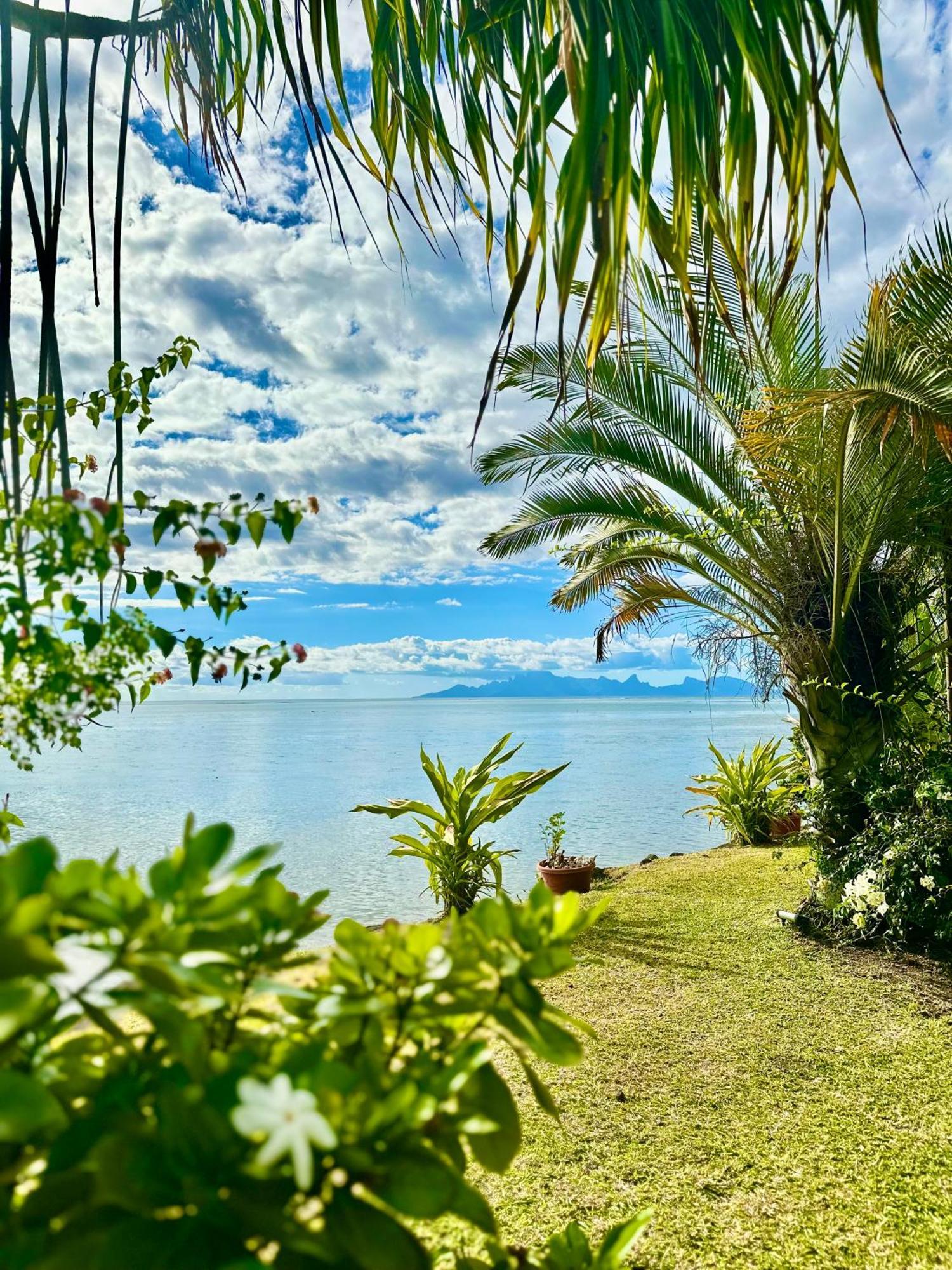 O'Coco Bungalow- Breathtaking Waterfront Views, Endless Memories Paea المظهر الخارجي الصورة