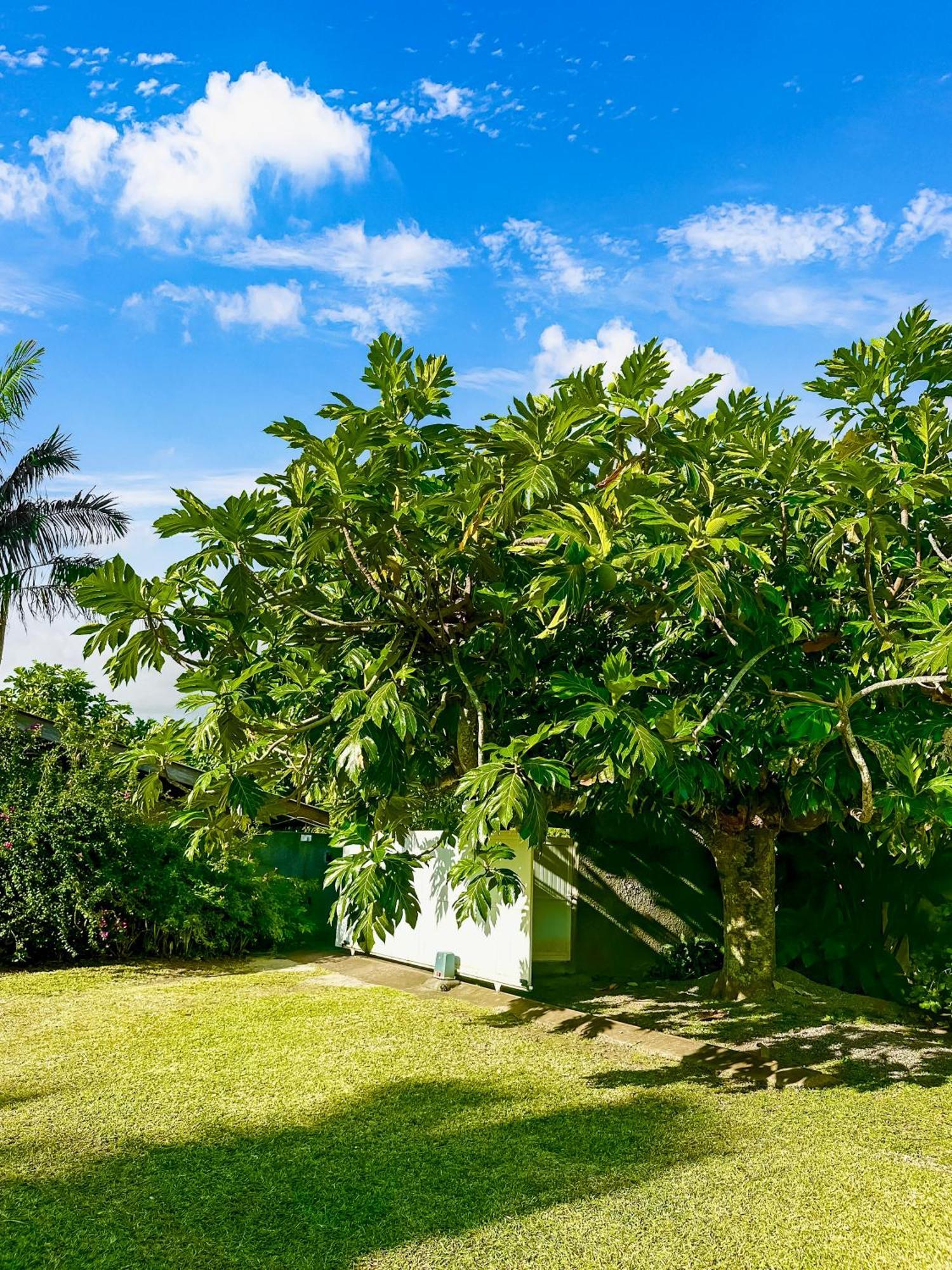 O'Coco Bungalow- Breathtaking Waterfront Views, Endless Memories Paea المظهر الخارجي الصورة